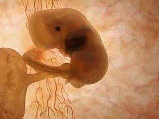 江苏第三代试管婴儿价格表，费用和成功率共享