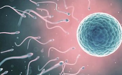 长沙市助孕公司排名一览表