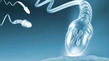 河北做第二代试管婴儿的费用和成功率分析