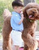 广州三代试管婴儿广州三代哪家医院比较好广州三代试管婴儿医院？