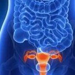 做试管女性吸烟会降低卵子数量及其质量？试管婴儿抽烟会影响胚胎着床吗？