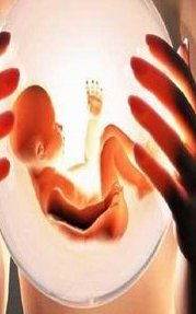 马来西亚三代试管婴儿多少钱？