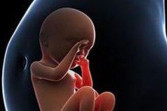 国内单身人士可以在私立机构做试管吗？单身试管避坑指南分享