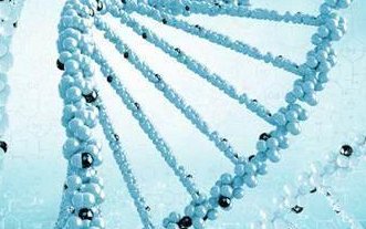 2026年在北京第一医院做三代试管的成功率高吗？如何提升成功率