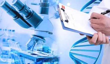 2026年没有精子去IRCM医院做试管的成功率有多少？影响因素有哪些？