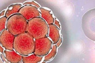 多囊去厦门附属第一医院做三代试管需要花费多少钱？费用明细是怎么样的？