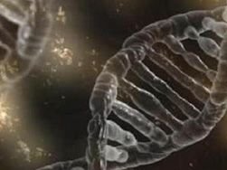 黑龙江公立试管婴儿医院排名，附医院费用成功率明细