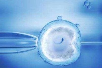 深圳哪里可以做特需试管？使用特需做试管婴儿贵吗？