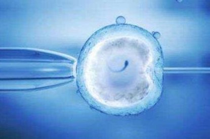 山东烟台三大助孕机构是哪三家？服务水平怎么样？